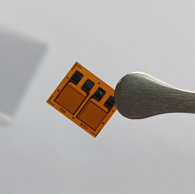 L'état de la jauge de contrainte en feuille parallèle dans la cellule de charge de détection de l'art