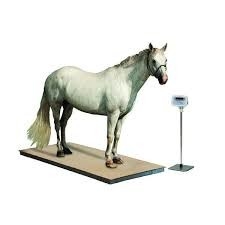 Échafaudage en acier inoxydable avec indicateur animal